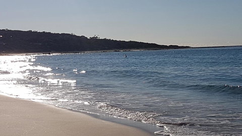 Eagle Bay Discovery - Accommodation Yamba 0