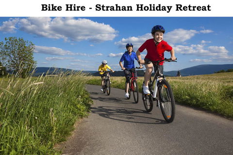 Strahan Retreat Holiday Park - Accommodation Yamba 18