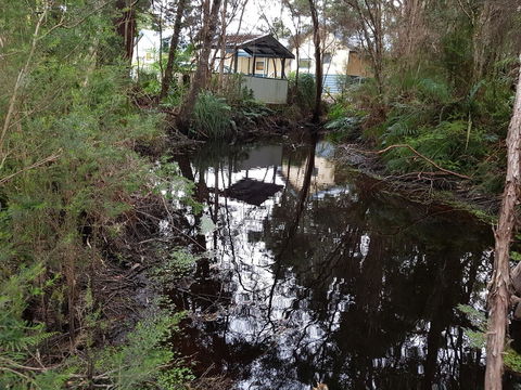 Strahan Retreat Holiday Park - Accommodation Yamba 33