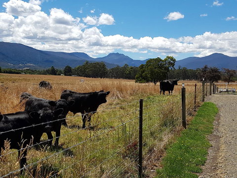 The Manager\'s Cottage - Accommodation Yamba 6