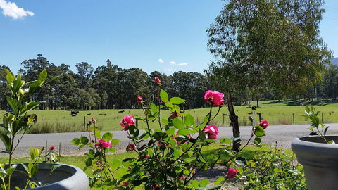 The Manager\'s Cottage - Accommodation Yamba 17