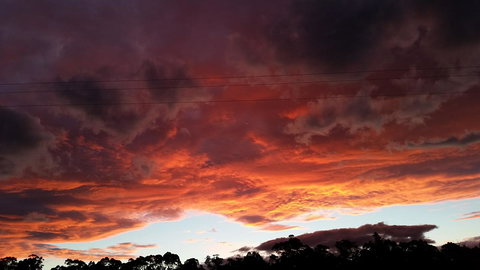 The Manager\'s Cottage - Accommodation Yamba 12