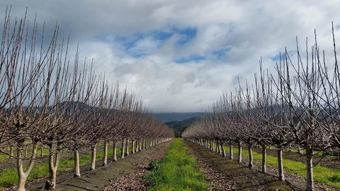 The Manager\'s Cottage - Accommodation Yamba 18