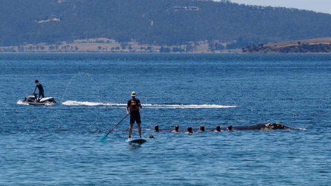 The Ultimate Beach House - Accommodation Yamba 19