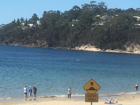 The Ultimate Beach House - Accommodation Yamba 2