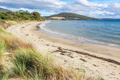 Omaroo Cottage Bruny Island - Accommodation Yamba 14