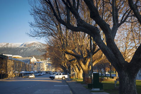 Salamanca Suites - Accommodation Yamba 10