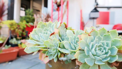 New Norfolk Junction Motel - Accommodation Yamba 27