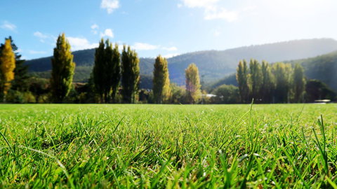 New Norfolk Junction Motel - Accommodation Yamba 16