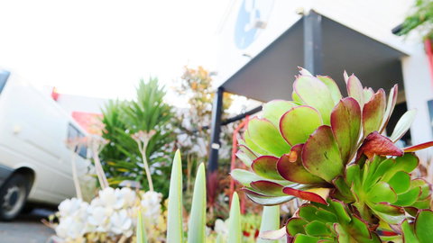 New Norfolk Junction Motel - Accommodation Yamba 32