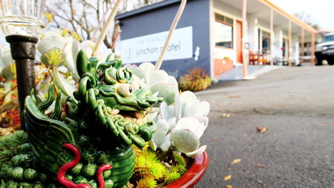 New Norfolk Junction Motel - Accommodation Yamba 29