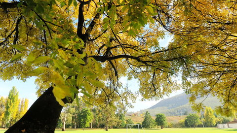 New Norfolk Junction Motel - Accommodation Yamba 17