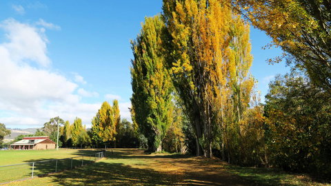 New Norfolk Junction Motel - Accommodation Yamba 15