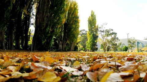 New Norfolk Junction Motel - Accommodation Yamba 19