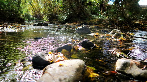 New Norfolk Junction Motel - Accommodation Yamba 20