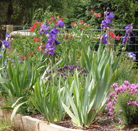 Karoola Cottage Self Contained - Accommodation Yamba