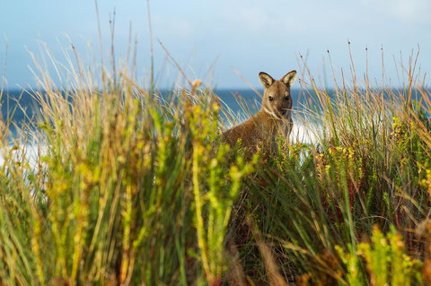 Island Breeze Motel - Accommodation Yamba 24