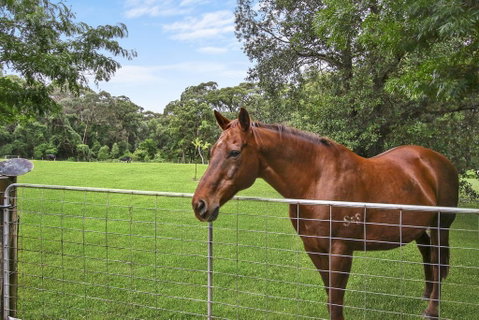 NUNGAROO COTTAGE - Accommodation Yamba 3
