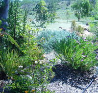 Old Miners' Cottages Bed and Breakfast - Accommodation Yamba