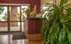 Oxley Motor Inn - thumb 3