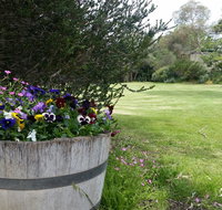 Padthaway Caravan Park - Accommodation Yamba