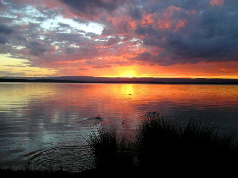 Paradise Bungalow Waterfront - Accommodation Yamba 1