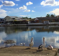 Pelican Cove Apartments - Accommodation Yamba