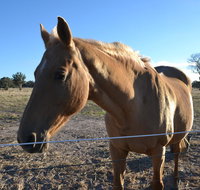 Penny's Place in The pyrenees - Accommodation Yamba
