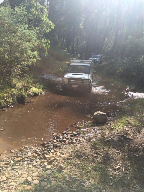 PNL 4WDriving Narbethong - Accommodation Yamba 3