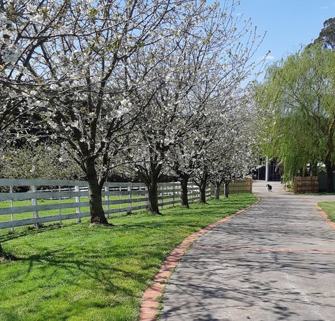 Ray's Farm - Accommodation Yamba 1