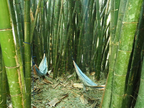 Runawaytomaleny - Accommodation Yamba 1