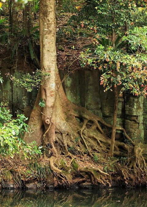 Runawaytomaleny - Accommodation Yamba 3