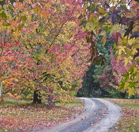 Rustic Spirit - Accommodation Yamba