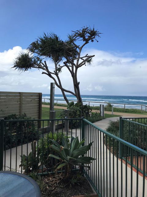 Sanctuary Beach Resort - Accommodation Yamba 2