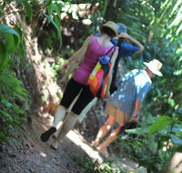 Sanctuary Retreat - Accommodation Yamba