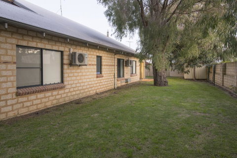 Seagull - Accommodation Yamba 2