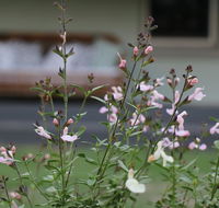 Serendipity on Allyn - Accommodation Yamba