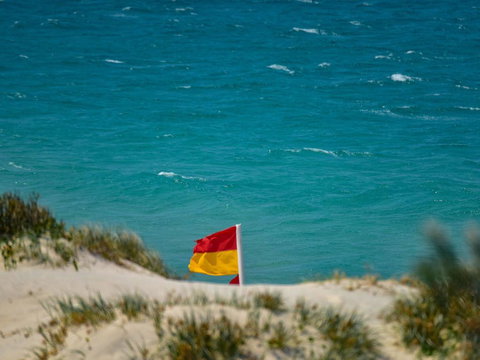 Shady Treez - Pet Friendly - Accommodation Yamba 1