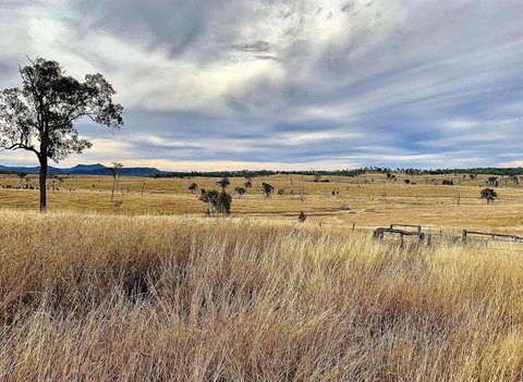 Skyline Farm House - Accommodation Yamba 3