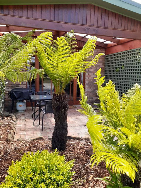 Sleepy Hollow Hideout (Hidout 2) - Accommodation Yamba 1