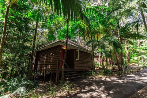 Songbirds Rainforest Retreat - Accommodation Yamba 2