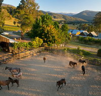 Spring Spur - Accommodation Yamba
