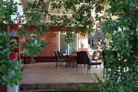 Sue's Sanctuary - Accommodation Yamba 1