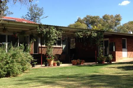 Sue's Sanctuary - Accommodation Yamba 3