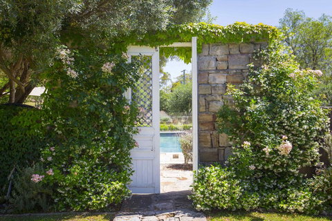 Talits Vineyard Estate - Accommodation Yamba 2