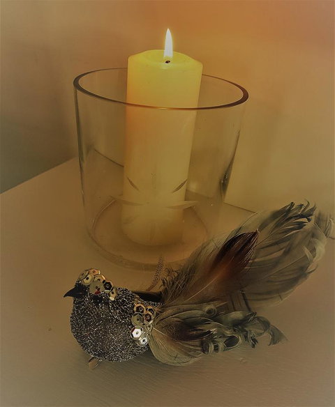 Birch Lane - Accommodation Yamba 26