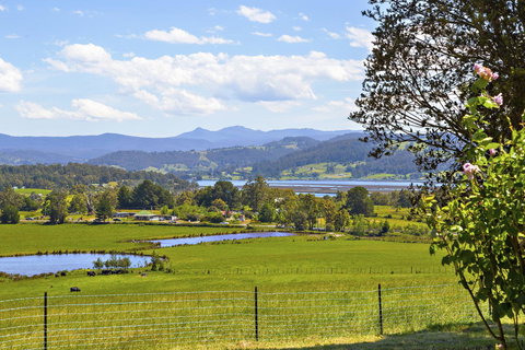 Birch Lane - Accommodation Yamba 7