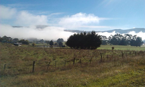 Birch Lane - Accommodation Yamba 30