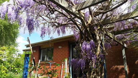 Birch Lane - Accommodation Yamba 42