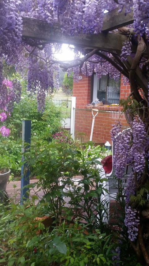 Birch Lane - Accommodation Yamba 41